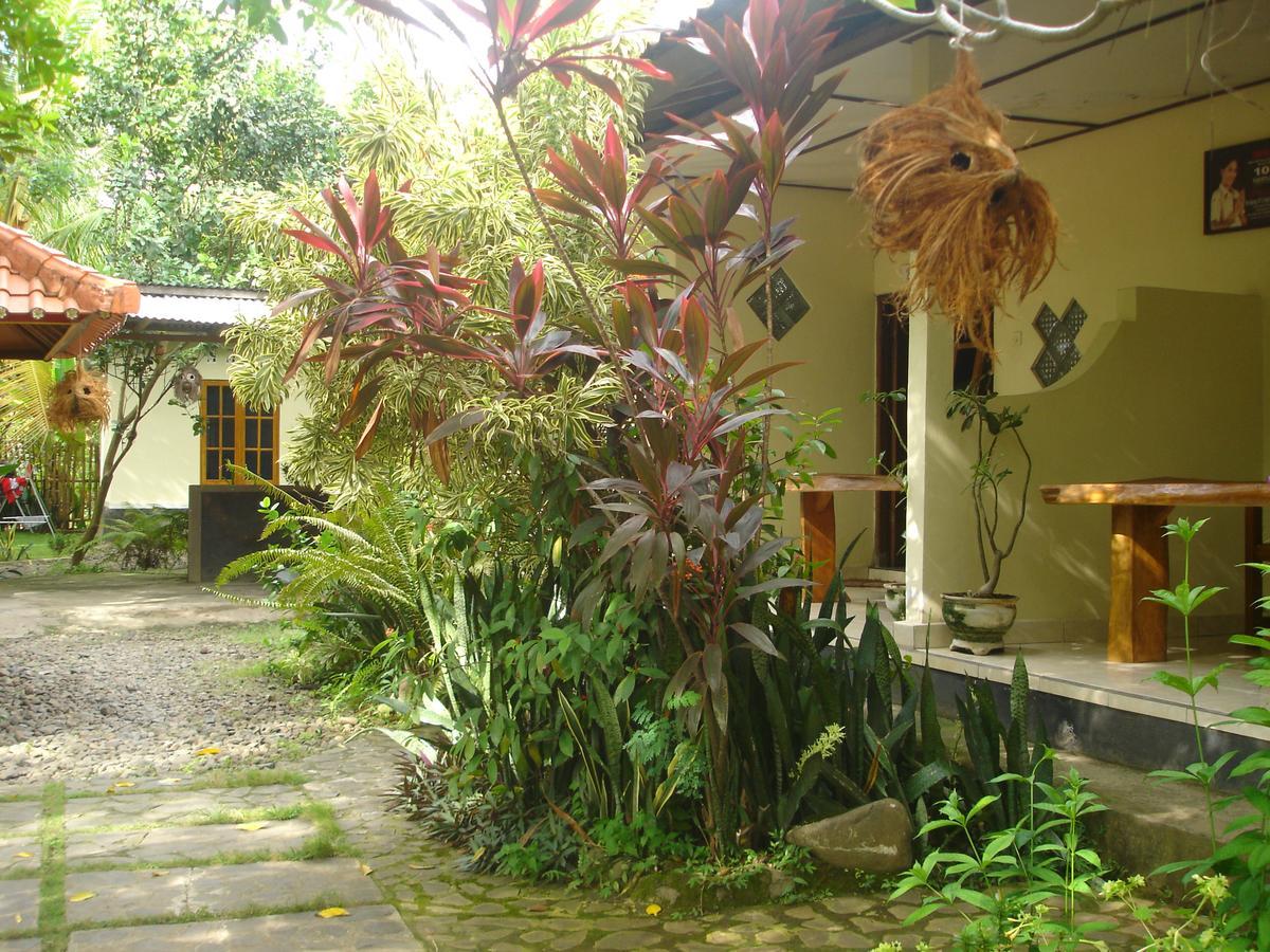 Penginapan Sedap Malam Lovina  Exterior photo